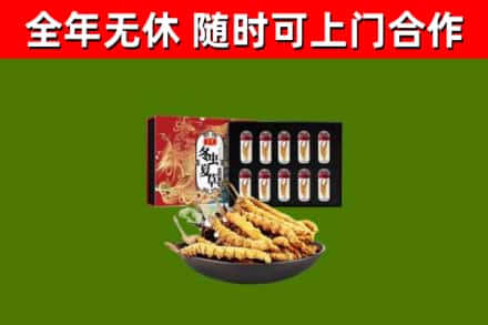 芒市回收冬虫夏草价格